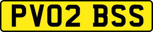 PV02BSS