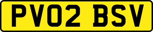 PV02BSV