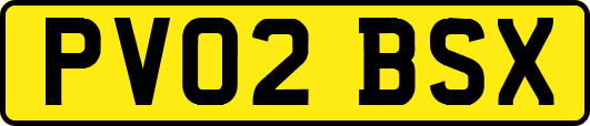 PV02BSX
