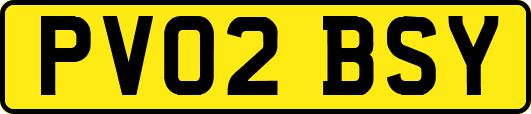 PV02BSY