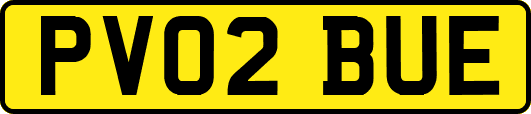 PV02BUE