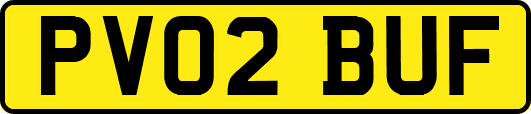 PV02BUF