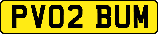 PV02BUM