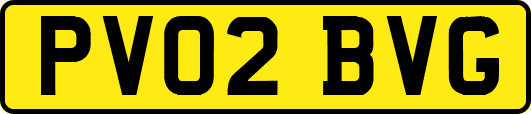 PV02BVG