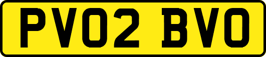 PV02BVO