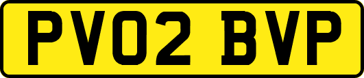 PV02BVP