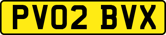 PV02BVX
