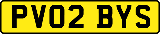 PV02BYS