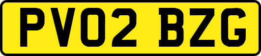 PV02BZG