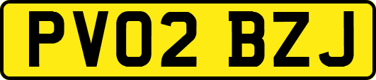 PV02BZJ