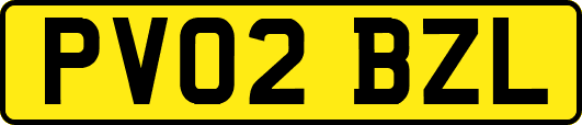 PV02BZL