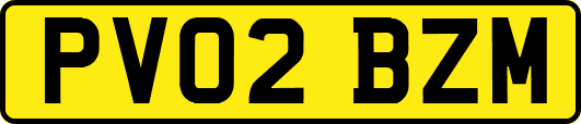 PV02BZM