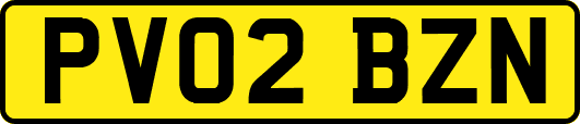PV02BZN