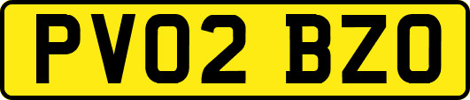 PV02BZO