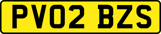 PV02BZS