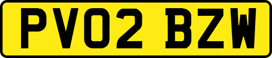PV02BZW
