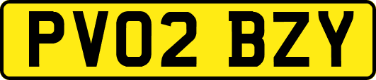 PV02BZY