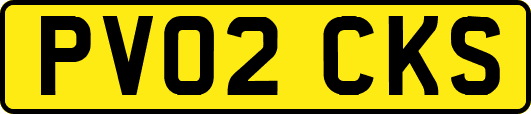PV02CKS