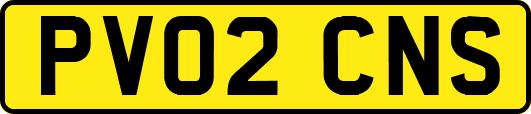 PV02CNS