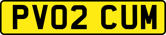 PV02CUM