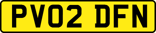 PV02DFN