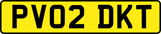 PV02DKT