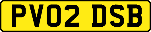 PV02DSB