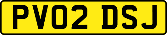 PV02DSJ