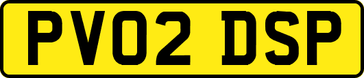 PV02DSP