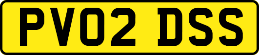 PV02DSS