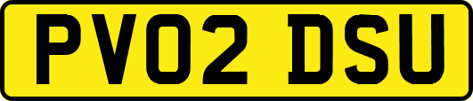 PV02DSU