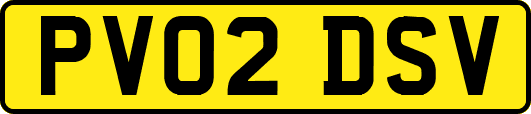 PV02DSV
