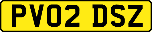 PV02DSZ