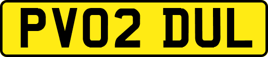 PV02DUL