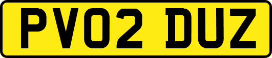 PV02DUZ