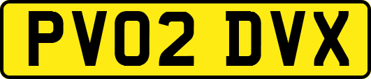 PV02DVX