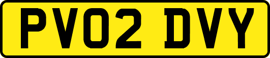 PV02DVY