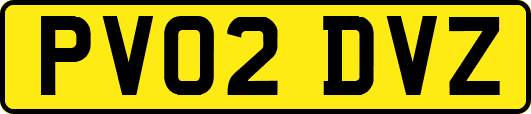 PV02DVZ