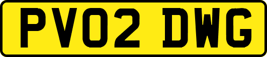 PV02DWG
