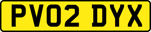 PV02DYX