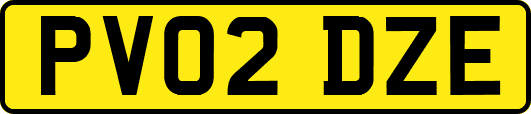 PV02DZE