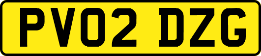 PV02DZG