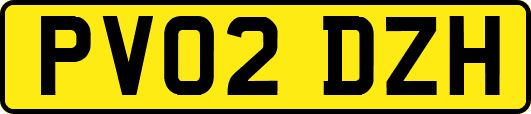 PV02DZH