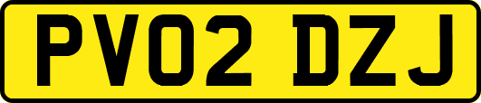 PV02DZJ