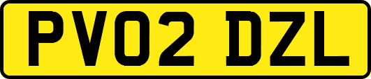 PV02DZL