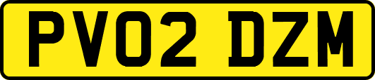 PV02DZM