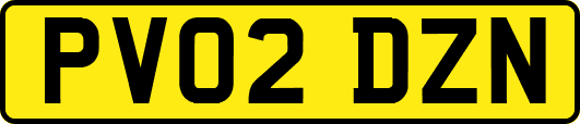 PV02DZN
