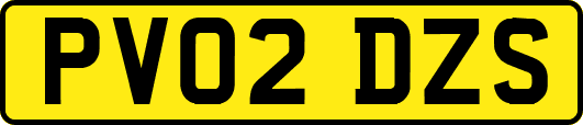 PV02DZS