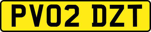 PV02DZT