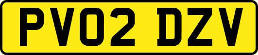 PV02DZV